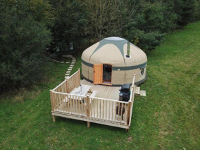 Lake View Yurts
